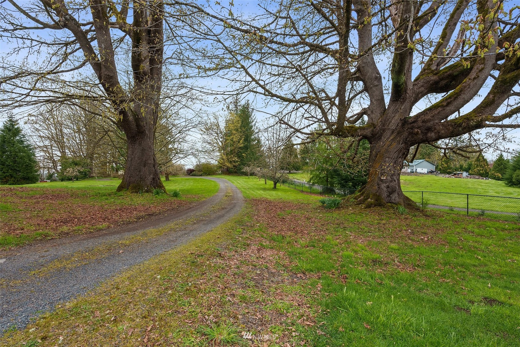 129 Bartlett Road Mossyrock, WA 98564 - Photo 27 of 36 Gallery Image 27