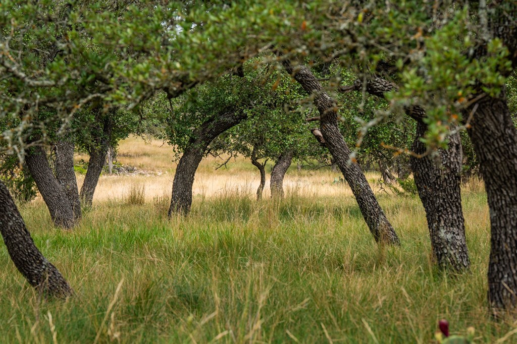 Lot 33 Nott Branch Road Harper, TX 78631 - Photo 11 of 11