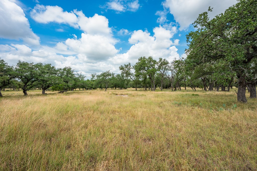Lot 33 Nott Branch Road Harper, TX 78631 - Photo 8 of 11