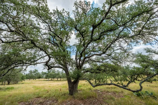 $147,500 | Lot 33 Nott Branch Road, Harper, TX 78631