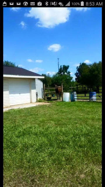 14143 Baptist Ball Park Road Stapleton, AL 36578 - Photo 15 of 21