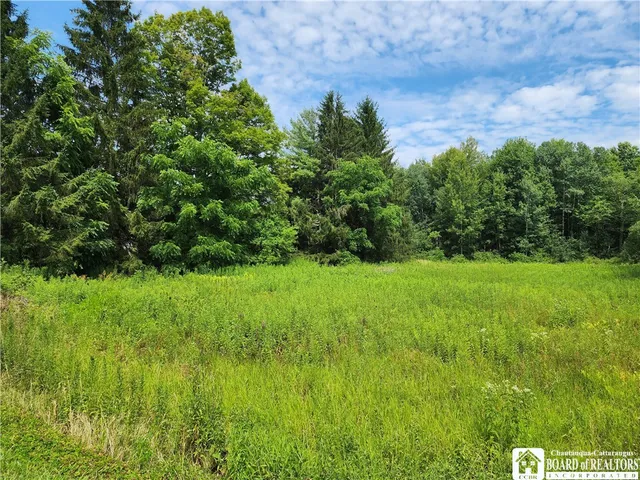 $58,000 | 0 School Street, Findley Lake, NY 14736