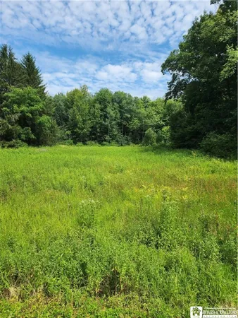 $58,000 | 0 School Street, Findley Lake, NY 14736