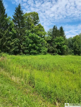 $58,000 | 0 School Street, Findley Lake, NY 14736