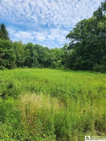 $58,000 | 0 School Street, Findley Lake, NY 14736