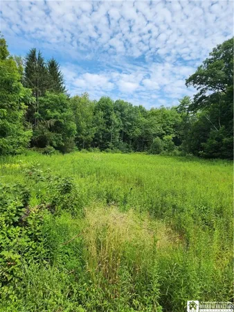 $58,000 | 0 School Street, Findley Lake, NY 14736