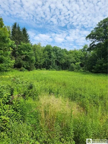 $58,000 | 0 School Street, Findley Lake, NY 14736