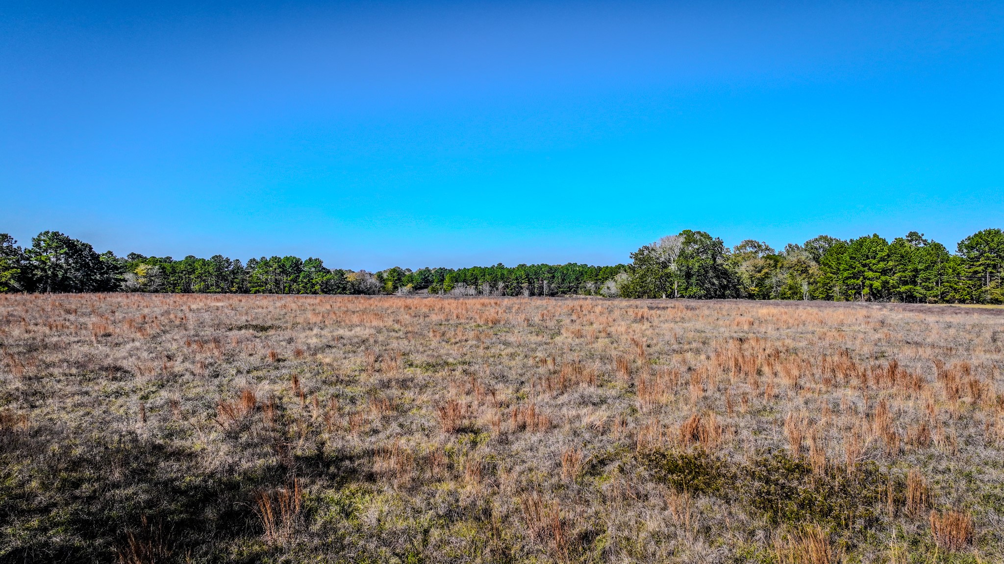 Tbd Lot 2 Tbd Road New Waverly, TX 77358 - Photo 14 of 24 a view of lake and mountain