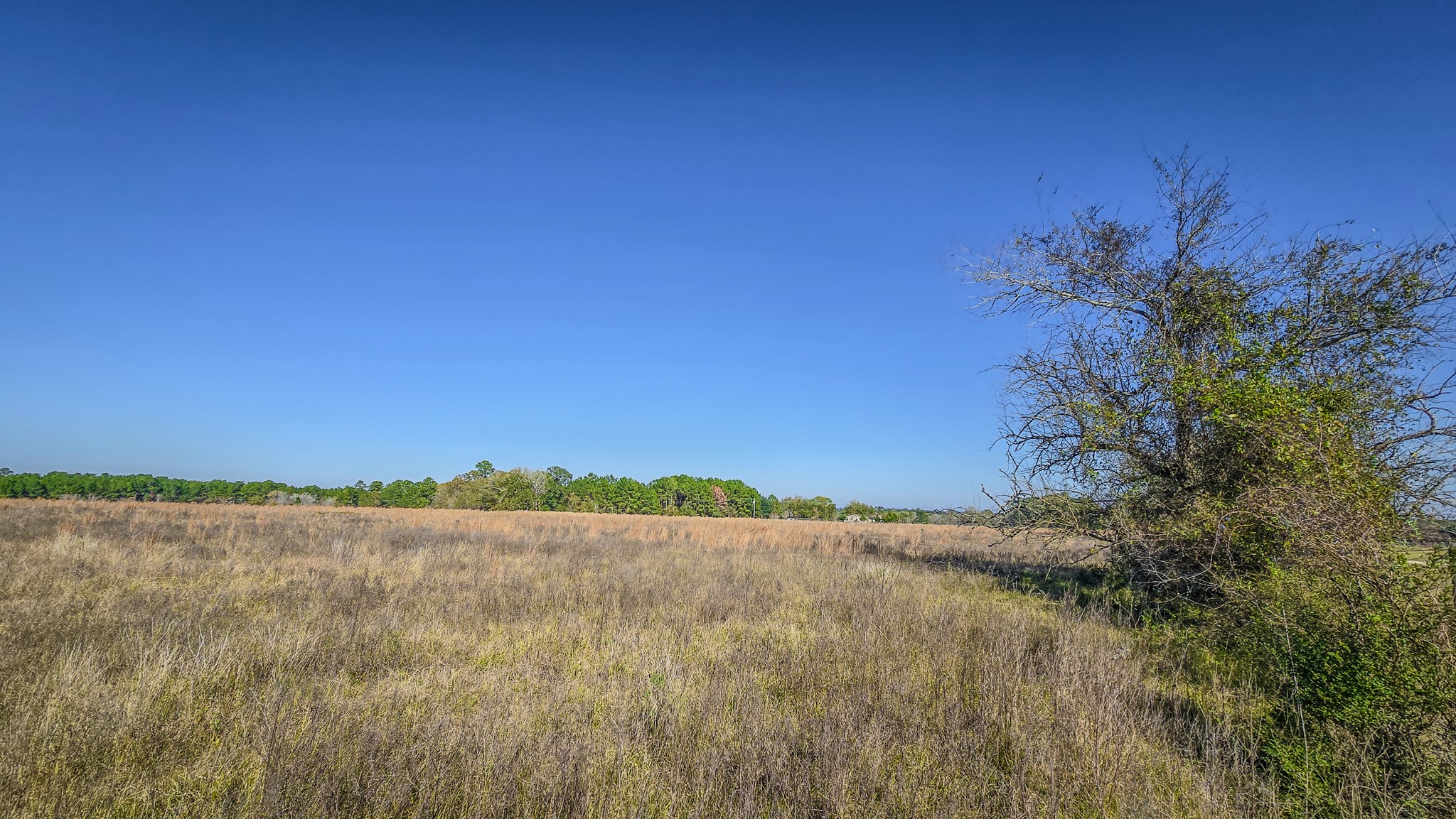 Tbd Lot 2 Tbd Road New Waverly, TX 77358 - Photo 15 of 24 a view of lake and mountain
