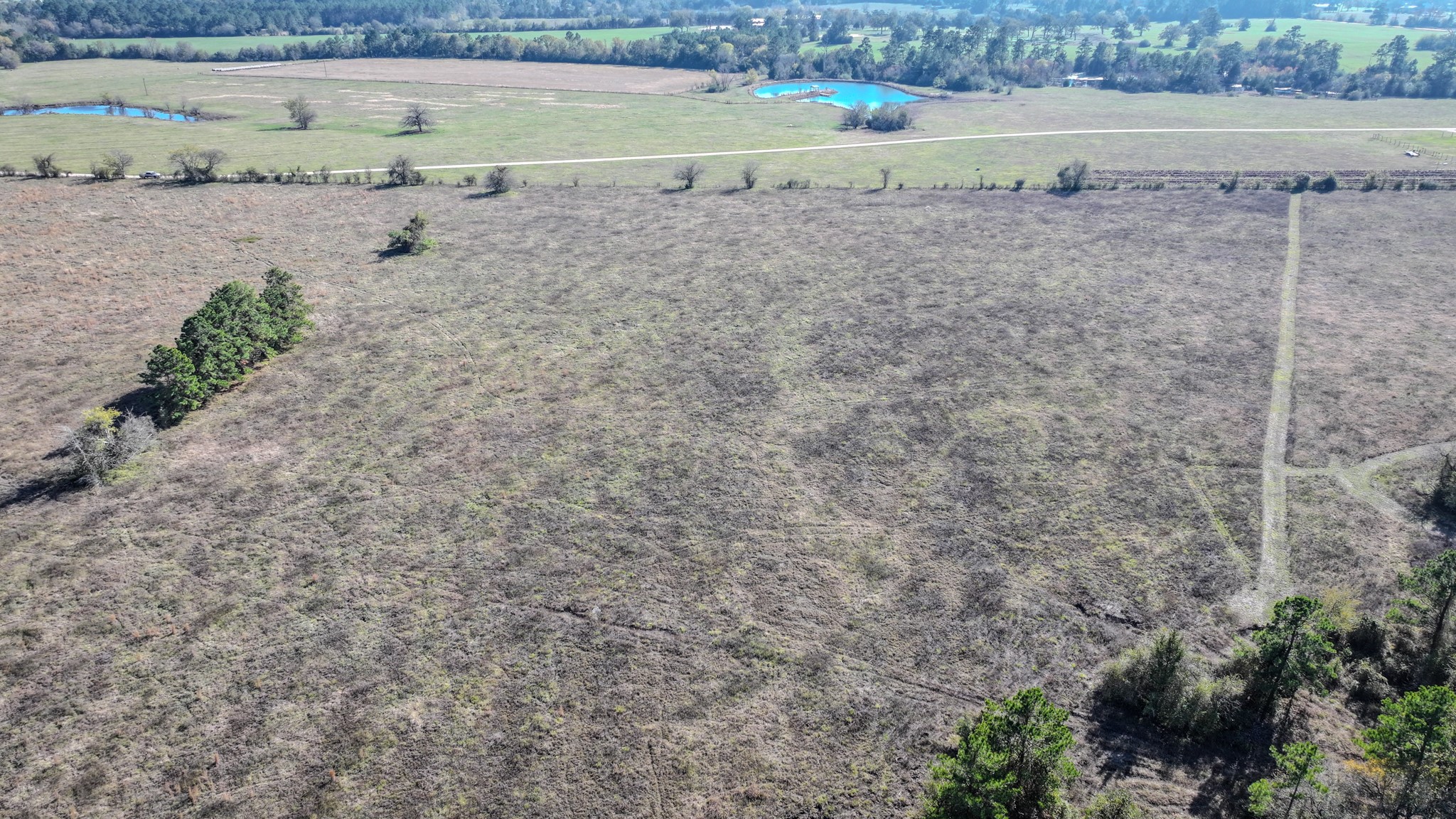 Tbd Lot 2 Tbd Road New Waverly, TX 77358 - Photo 8 of 24 a view of a dry yard with wooden floor