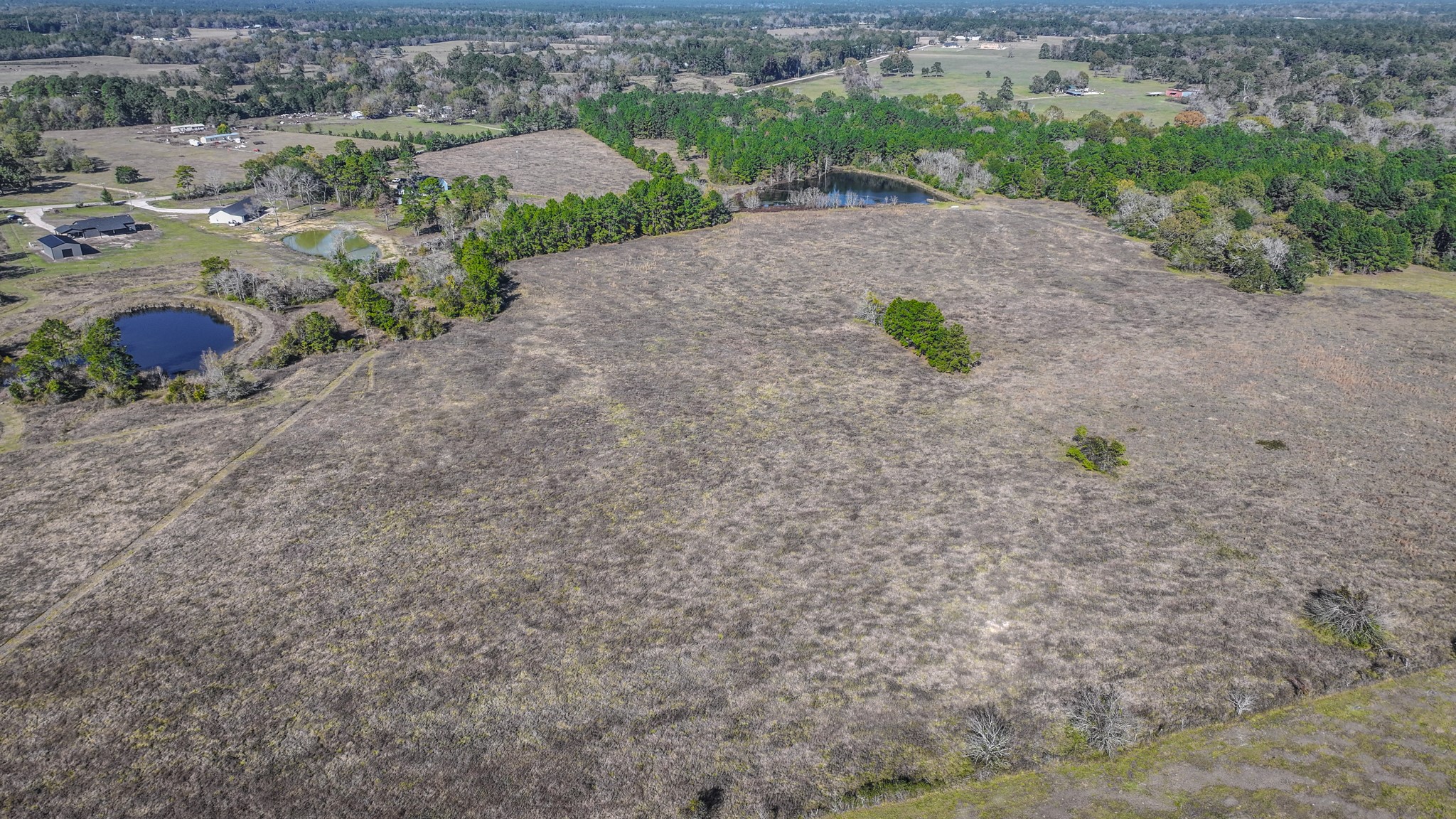 Tbd Lot 2 Tbd Road New Waverly, TX 77358 - Photo 9 of 24 a view of a dry yard with wooden fence