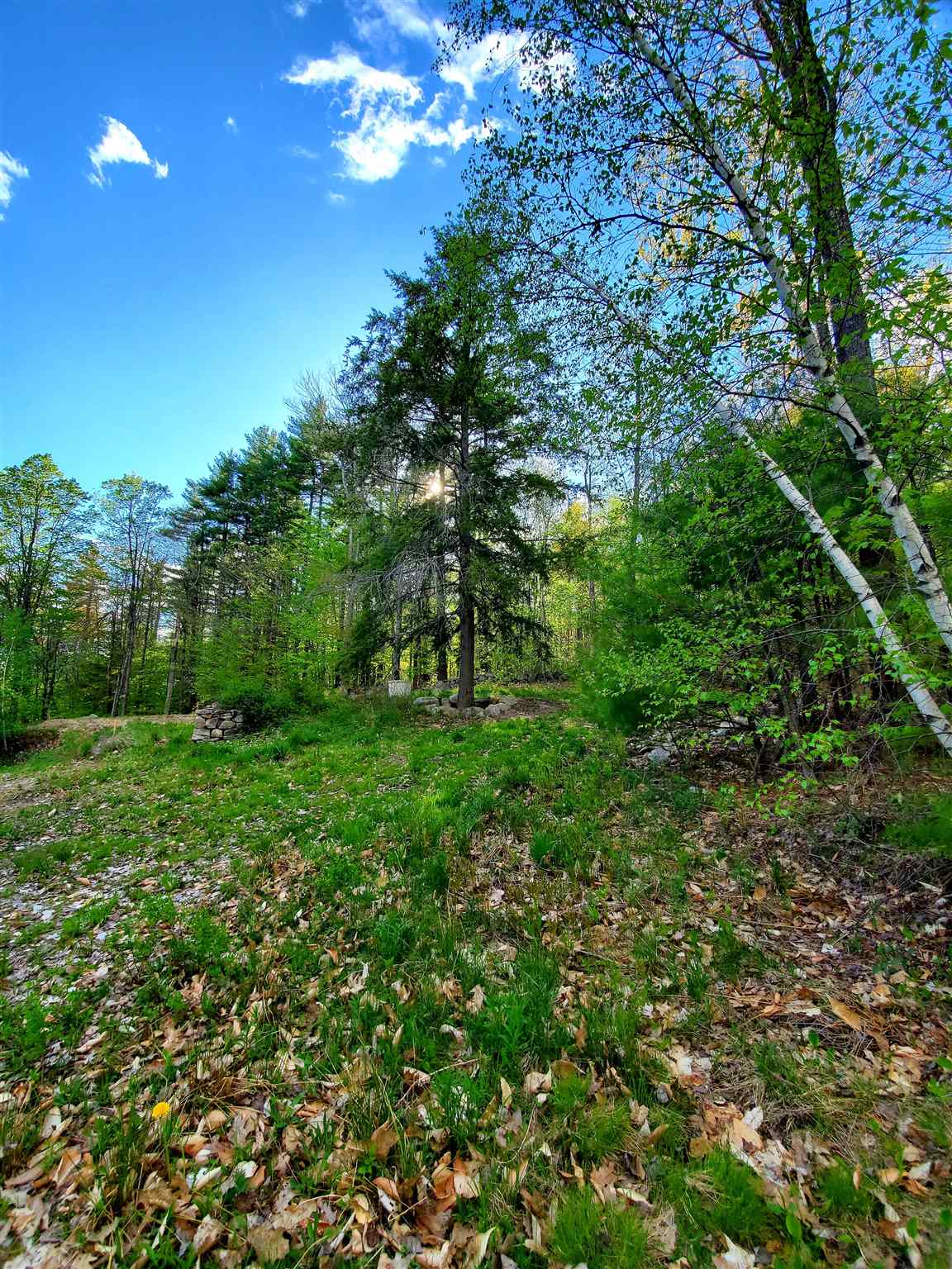 276 Water Village Road Ossipee, NH 03864 - Photo 8 of 13 Gallery Image 8