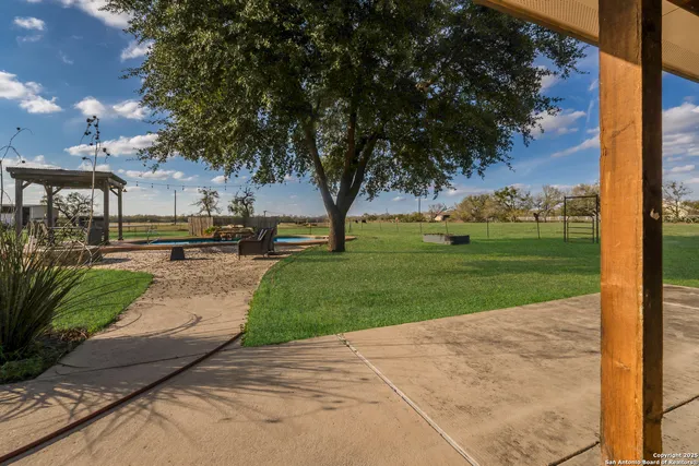 a view of a park with large trees