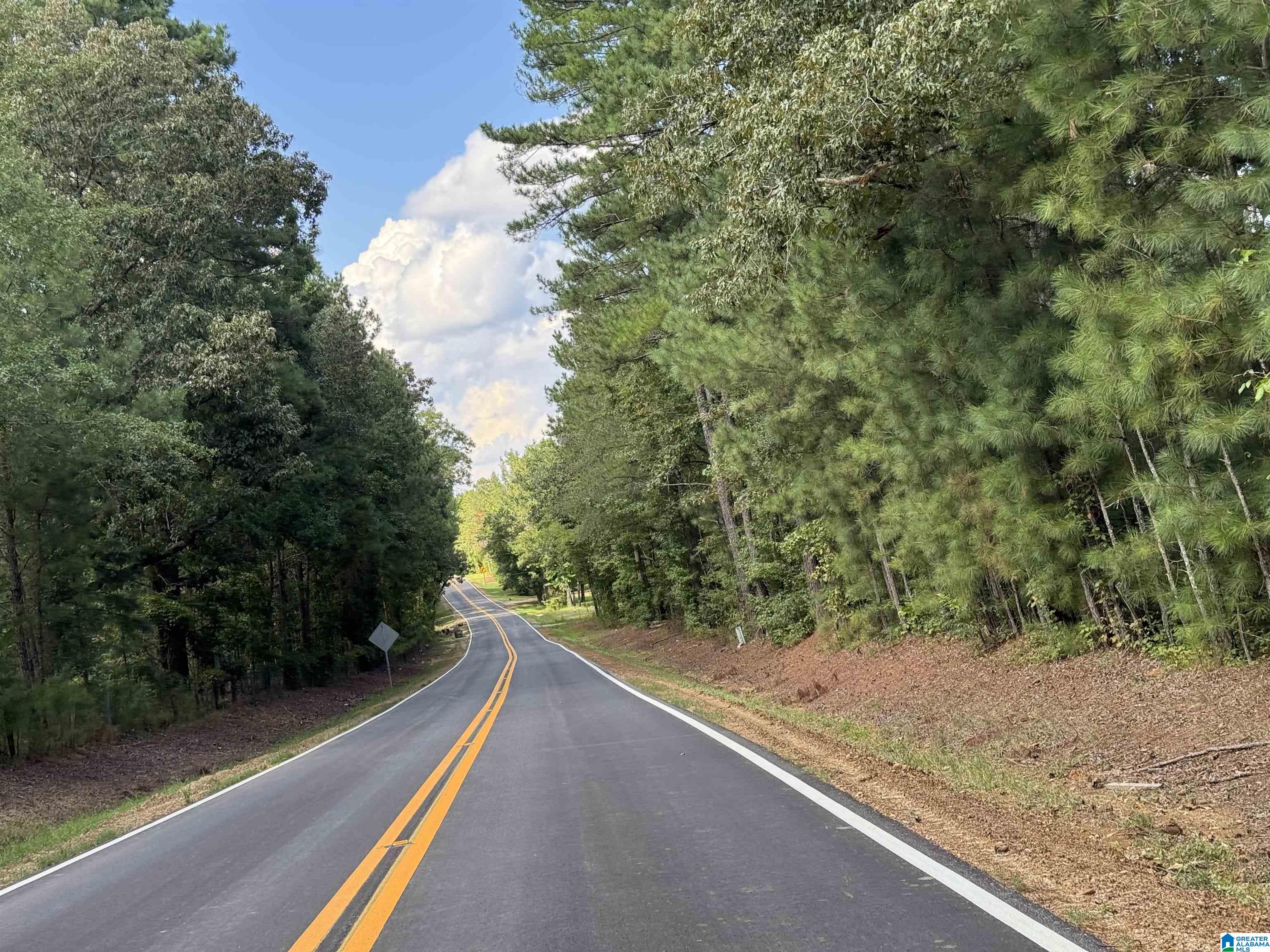 20394 County Road 55 Sterrett, AL 35147 - Photo 37 of 43