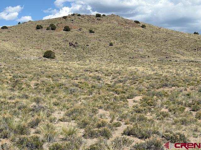 256 Sunora Lane Del Norte, CO 81132 - Photo 5 of 6 a view of a dry space with mountain view