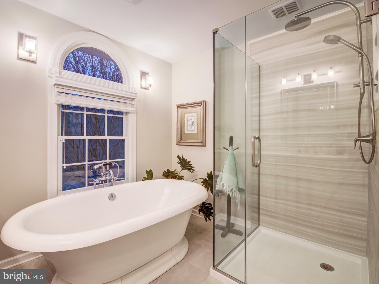 7360 Clifton Road Clifton, VA 20124 - Photo 60 of 72 large shower