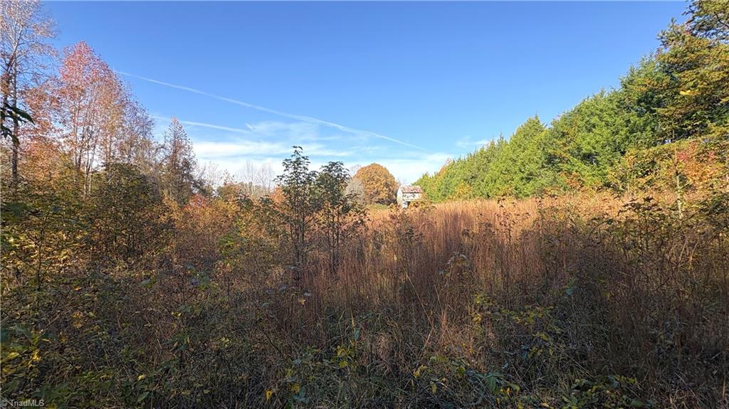 3.1 Long Valley Road Summerfield, NC 27358 - Photo 11 of 25