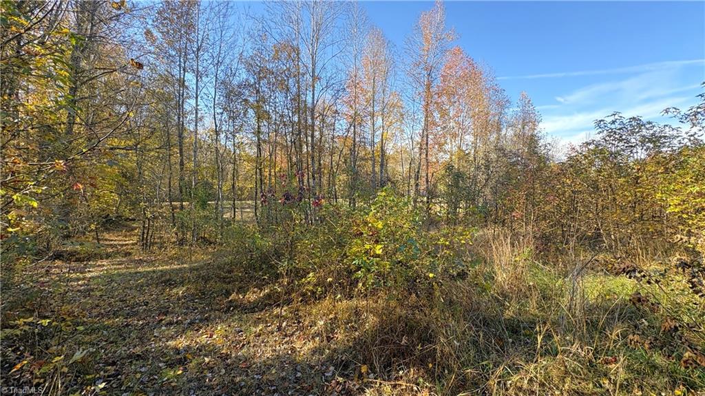 3.1 Long Valley Road Summerfield, NC 27358 - Photo 12 of 25