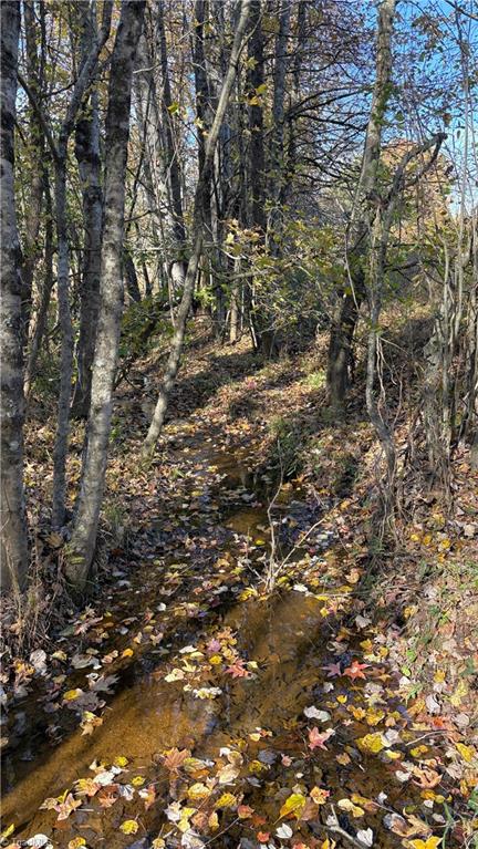 3.1 Long Valley Road Summerfield, NC 27358 - Photo 13 of 25