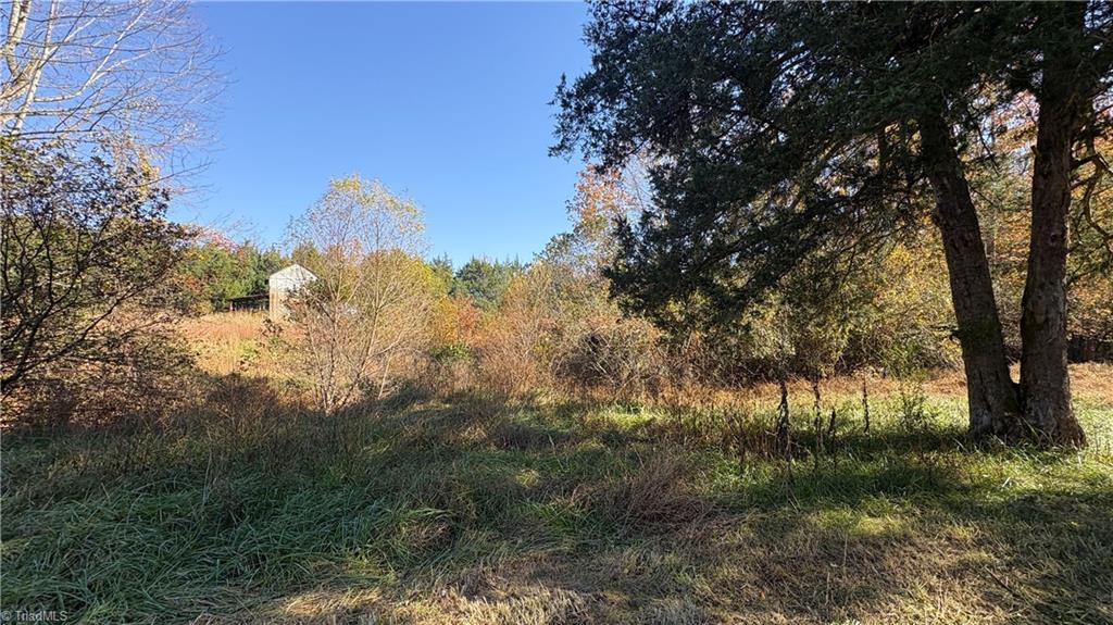 3.1 Long Valley Road Summerfield, NC 27358 - Photo 17 of 25