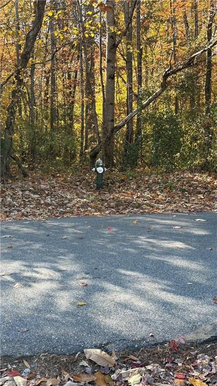 3.1 Long Valley Road Summerfield, NC 27358 - Photo 19 of 25