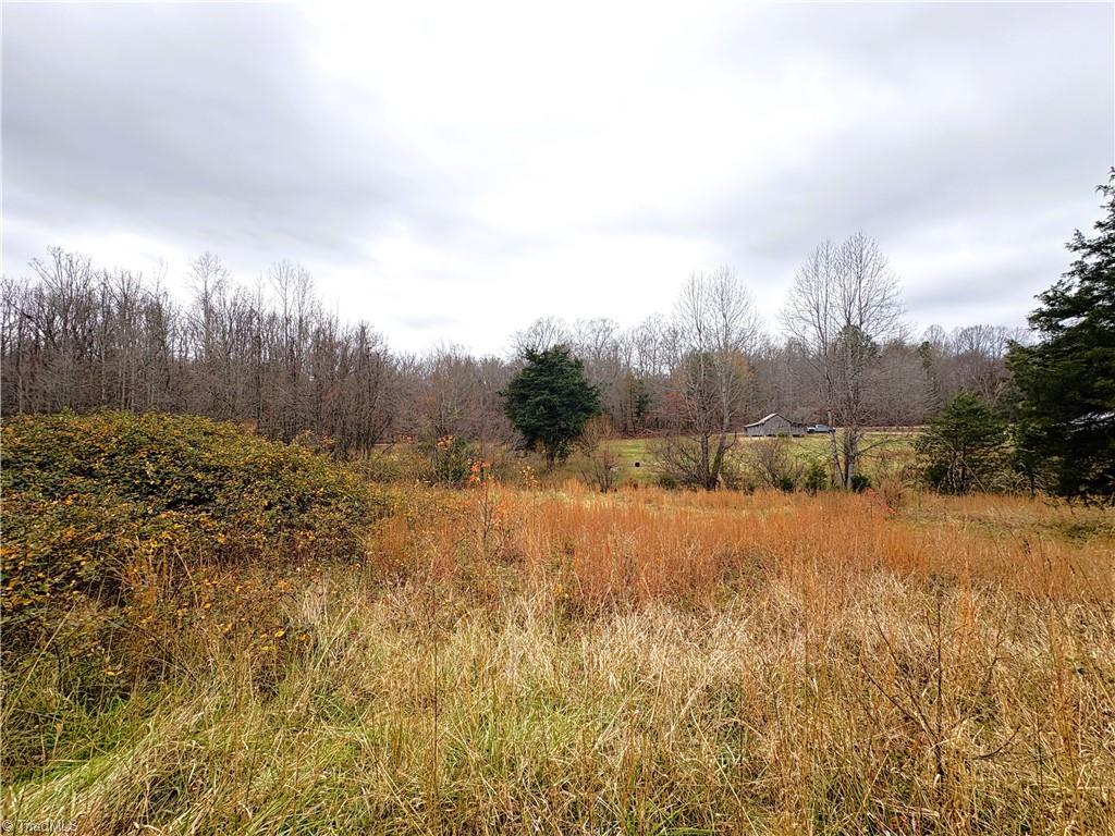 3.1 Long Valley Road Summerfield, NC 27358 - Photo 22 of 25