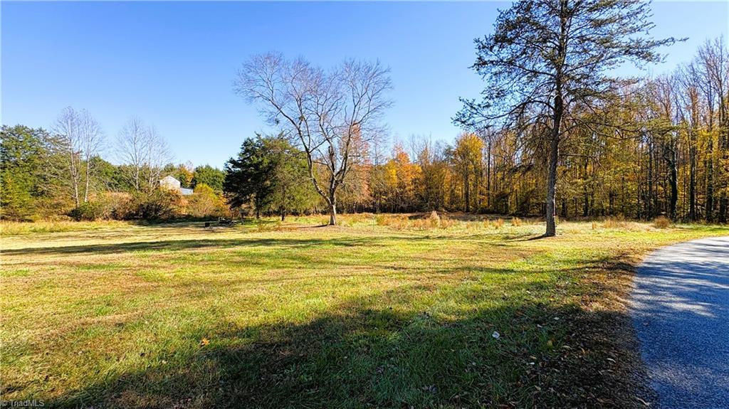 3.1 Long Valley Road Summerfield, NC 27358 - Photo 6 of 25