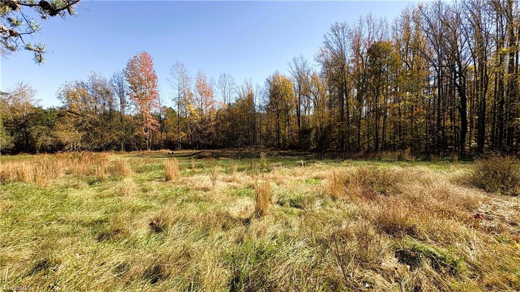 3.1 Long Valley Road Summerfield, NC 27358 - Photo 8 of 25