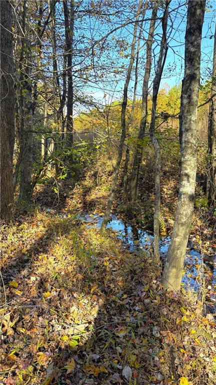 3.1 Long Valley Road Summerfield, NC 27358 - Photo 10 of 25