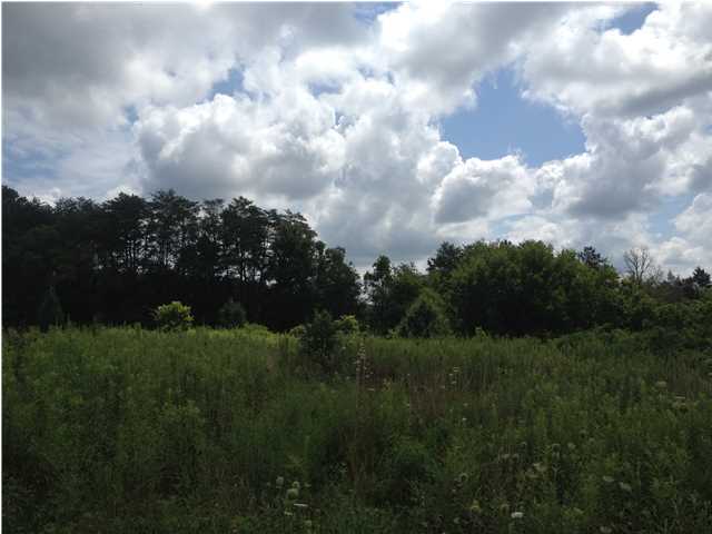 0 Hawkins Road, Unit 1 Sweetwater, TN 37874 - Photo 1 of 1 Primary Photo