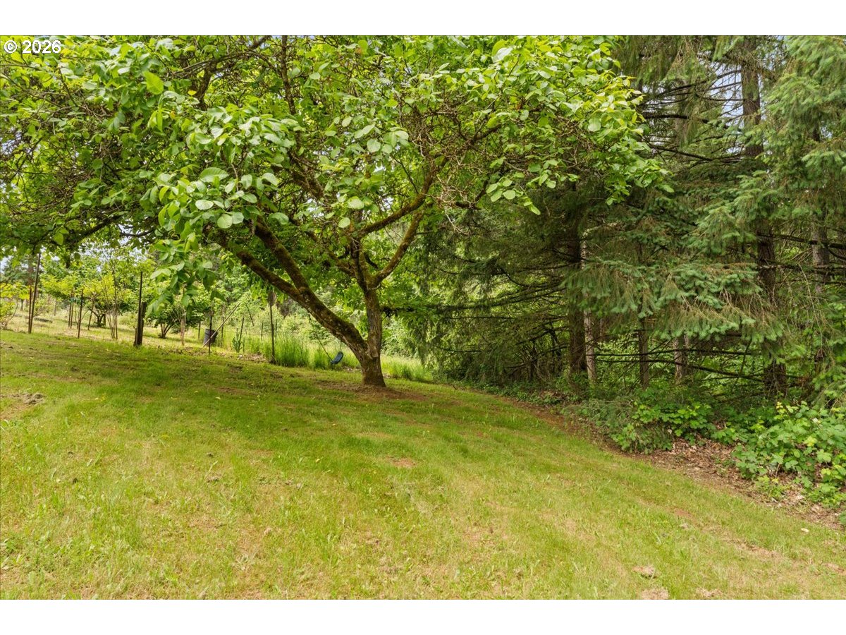 45937 Northwest Hartwick Road Banks, OR 97106 - Photo 41 of 48