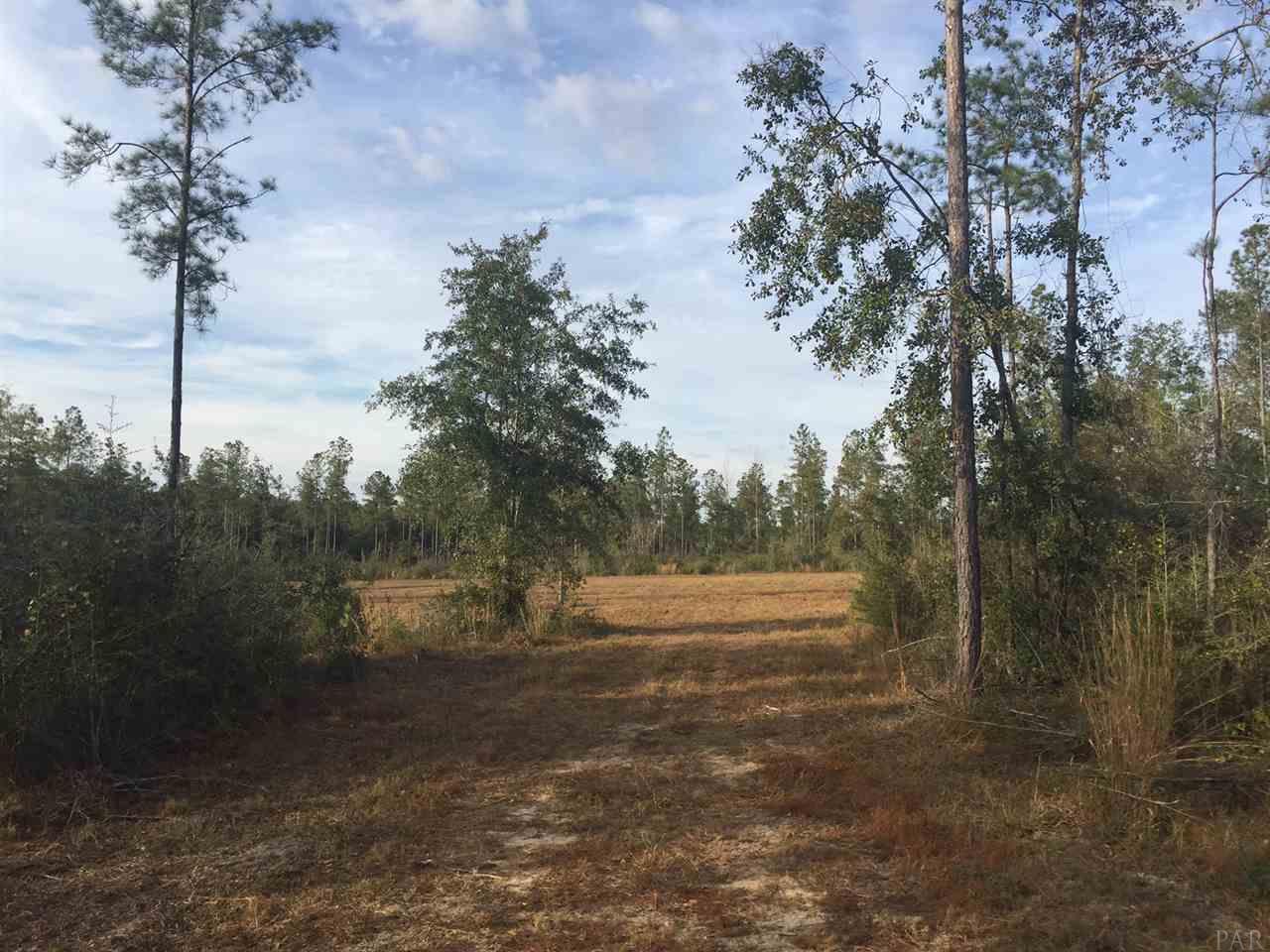 15-acres Mayburn Bridge Road Milton, FL 32570 - Photo 1 of 17 Gallery Image 1