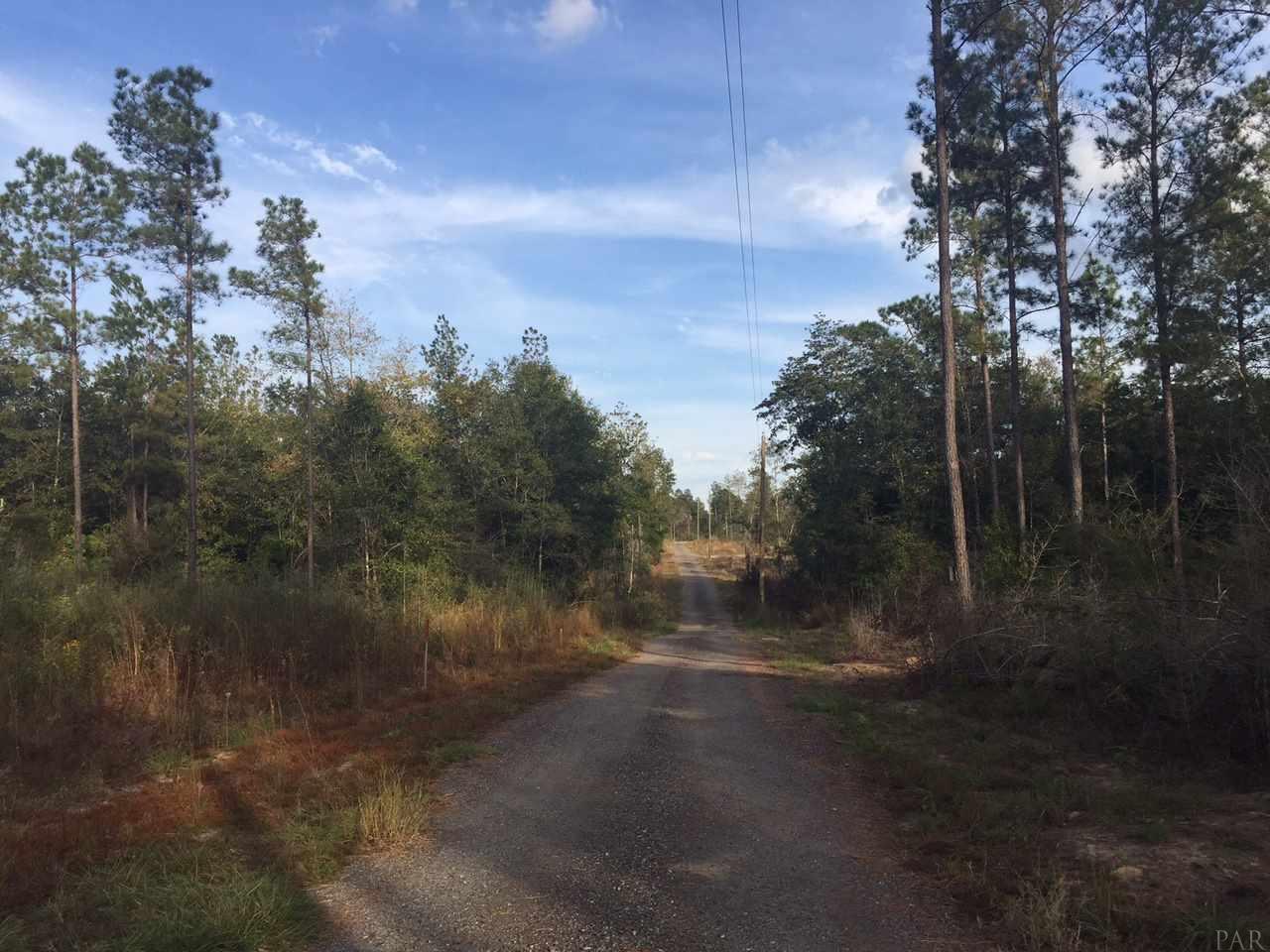 15-acres Mayburn Bridge Road Milton, FL 32570 - Photo 11 of 17 Private Drive