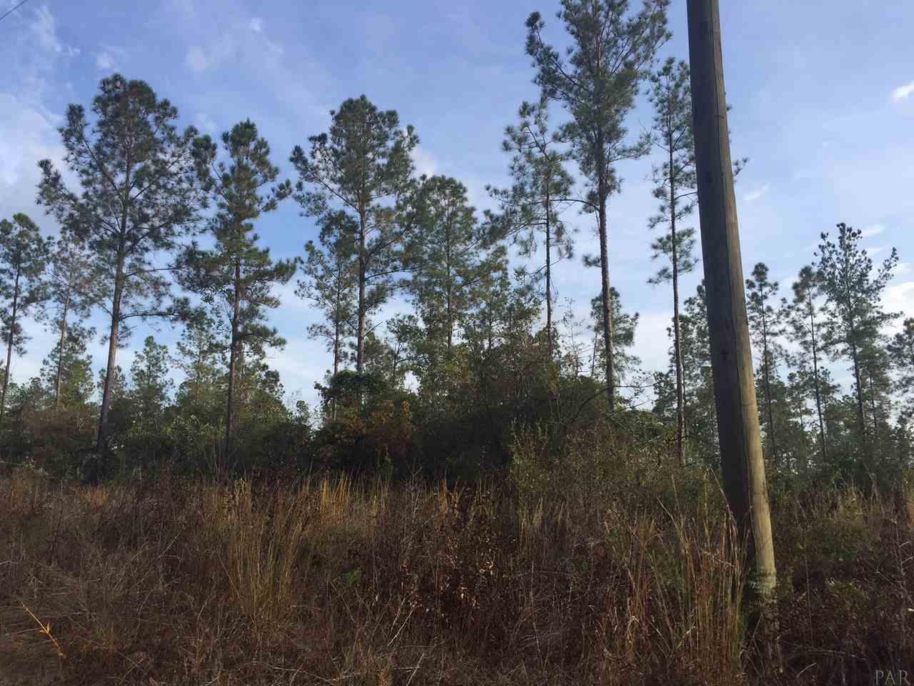 15-acres Mayburn Bridge Road Milton, FL 32570 - Photo 17 of 17 Gallery Image 17