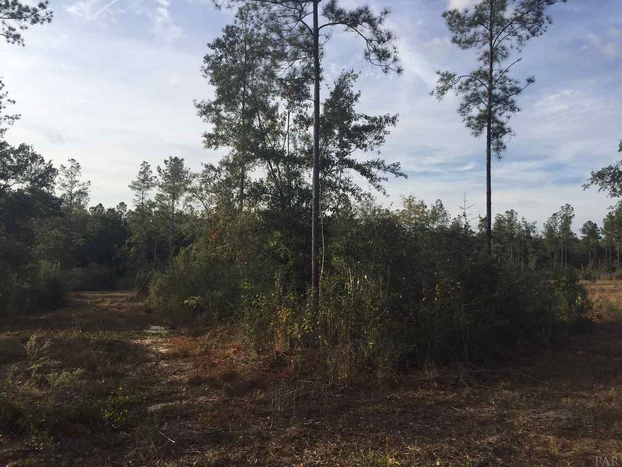 15-acres Mayburn Bridge Road Milton, FL 32570 - Photo 3 of 17 Gallery Image 3