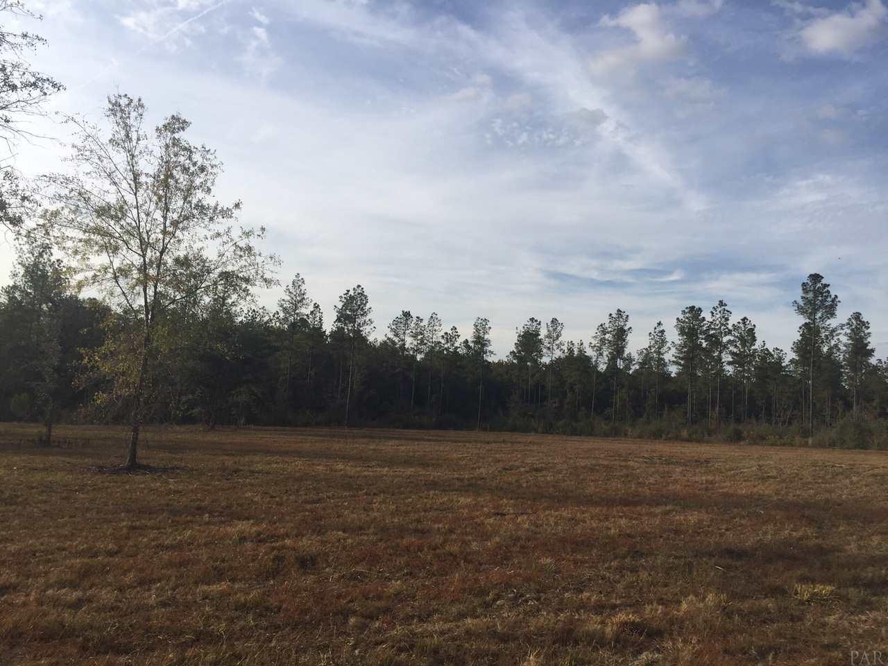 15-acres Mayburn Bridge Road Milton, FL 32570 - Photo 6 of 17 Gallery Image 6