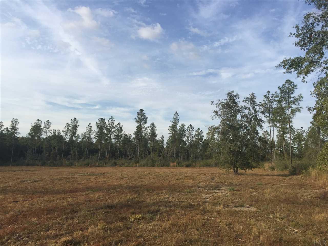 15-acres Mayburn Bridge Road Milton, FL 32570 - Photo 7 of 17 Gallery Image 7