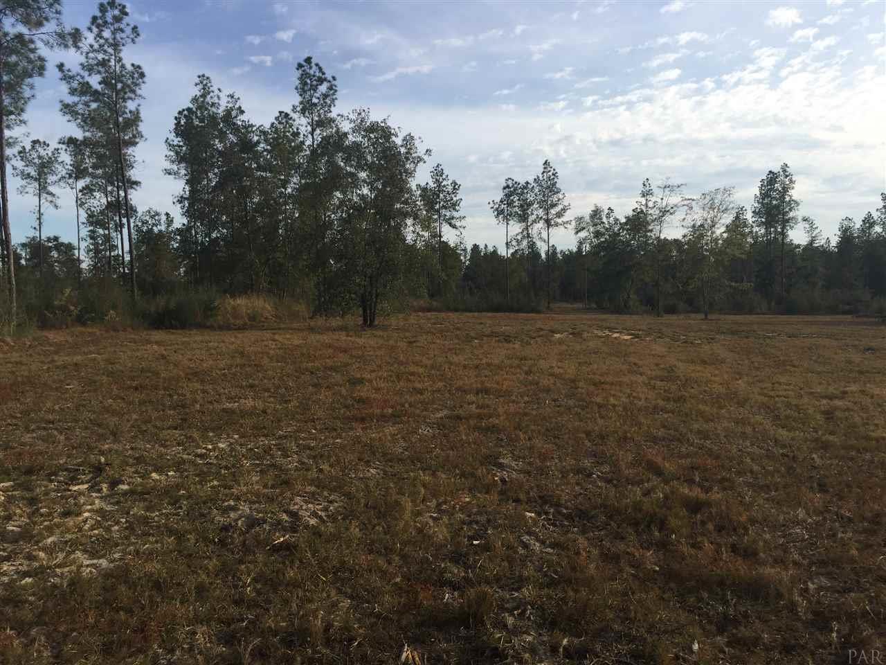 15-acres Mayburn Bridge Road Milton, FL 32570 - Photo 8 of 17 Gallery Image 8