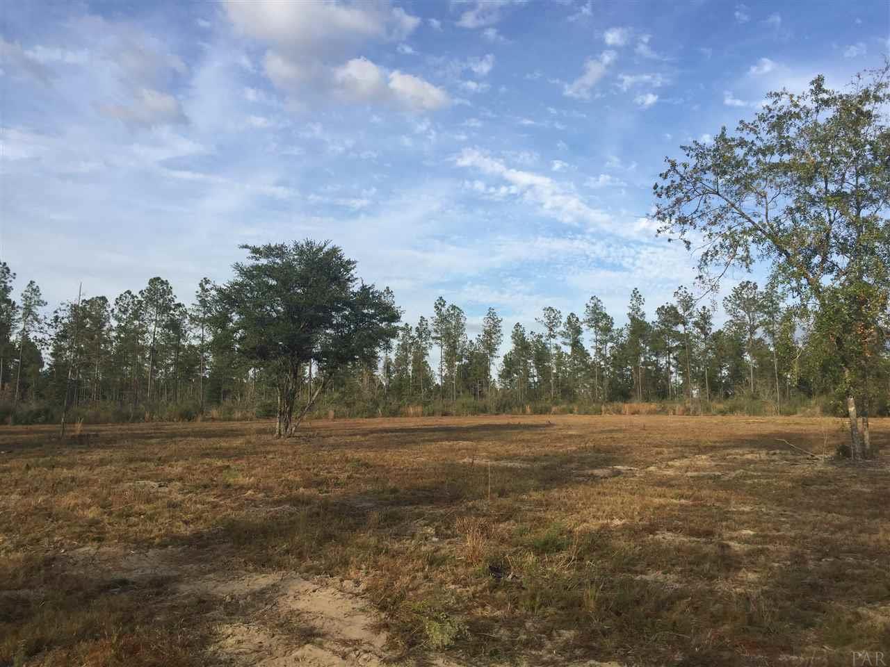 15-acres Mayburn Bridge Road Milton, FL 32570 - Photo 10 of 17 Gallery Image 10