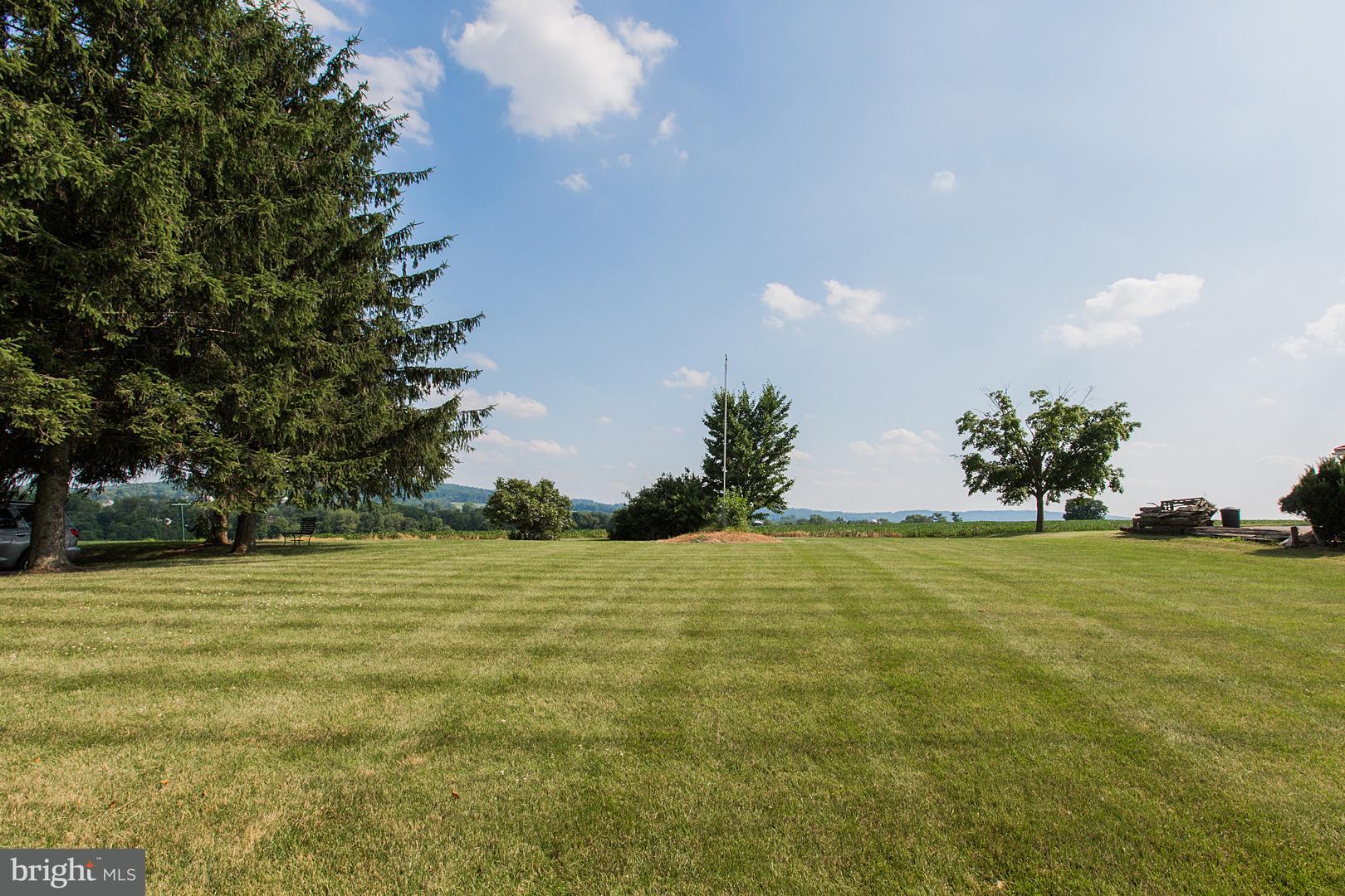 View of Right Property Line