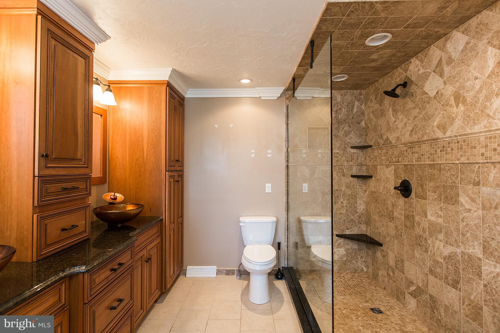 383 Stevens Road Stevens, PA 17578 - Photo 37 of 72 Master Bath- Extra Large