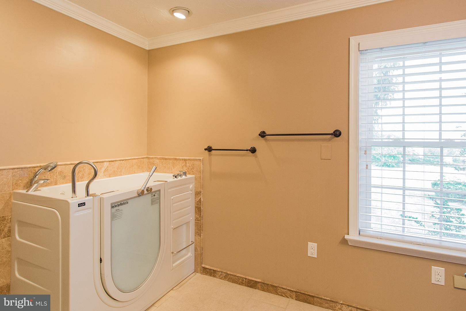 383 Stevens Road Stevens, PA 17578 - Photo 42 of 72 Master Bath-Handicapped Tub