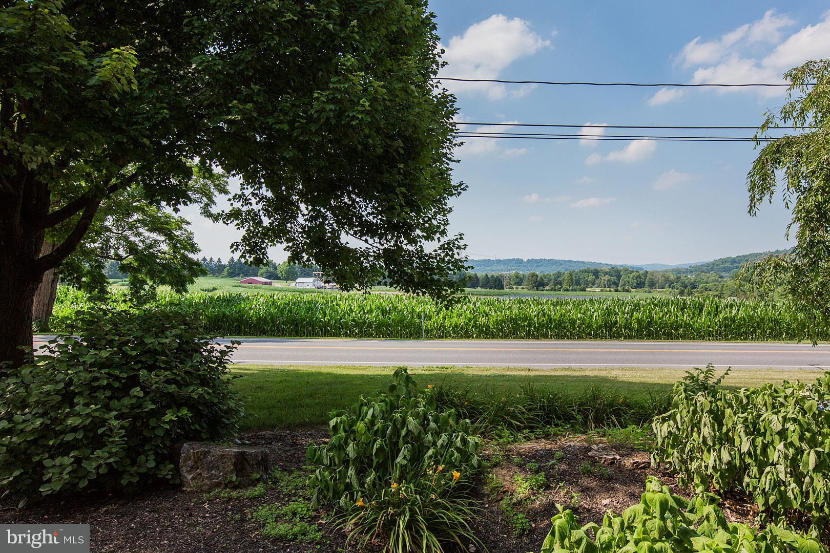 View from Front Porch