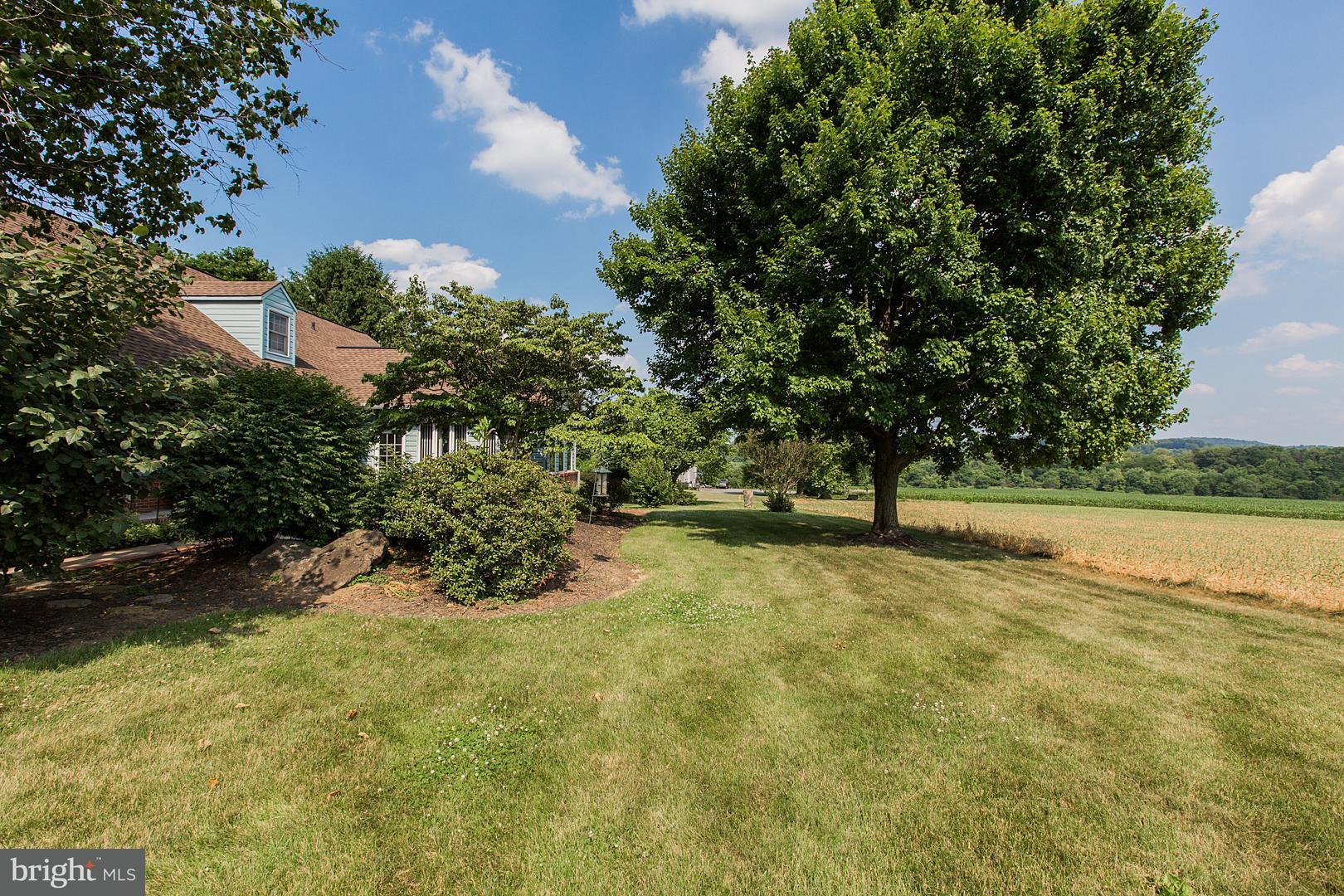 383 Stevens Road Stevens, PA 17578 - Photo 63 of 72 Side view of Lawn