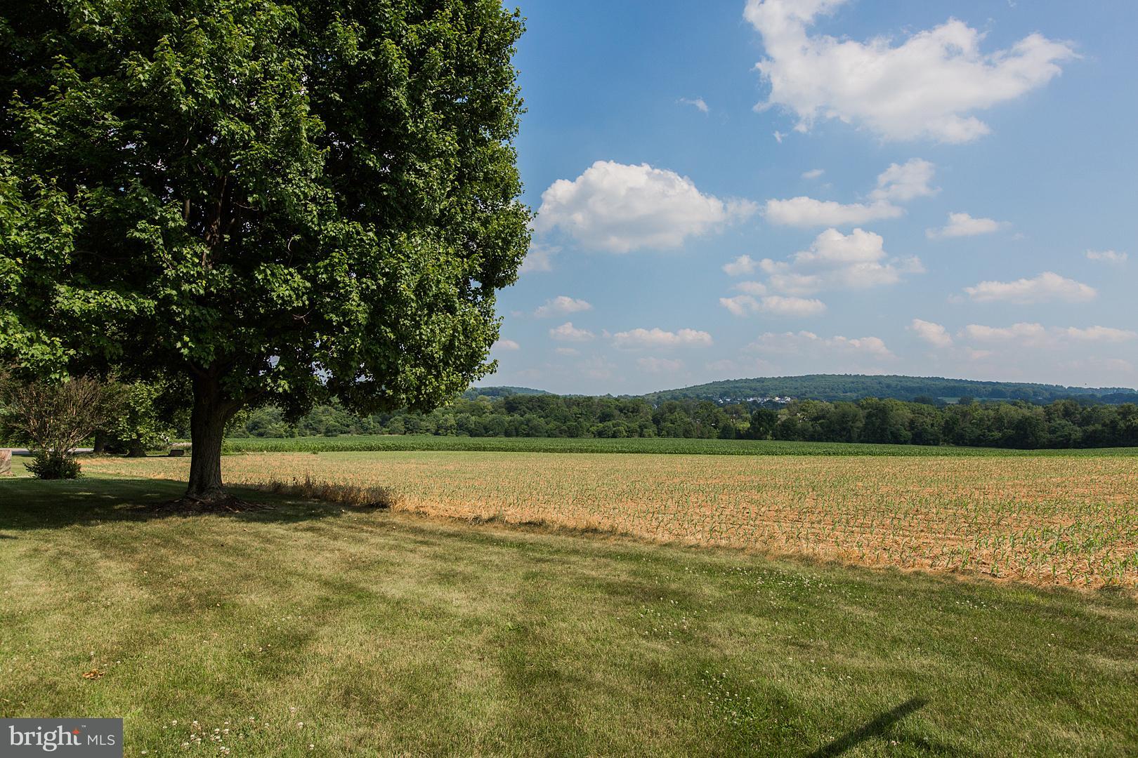 383 Stevens Road Stevens, PA 17578 - Photo 67 of 72 View of Lawn