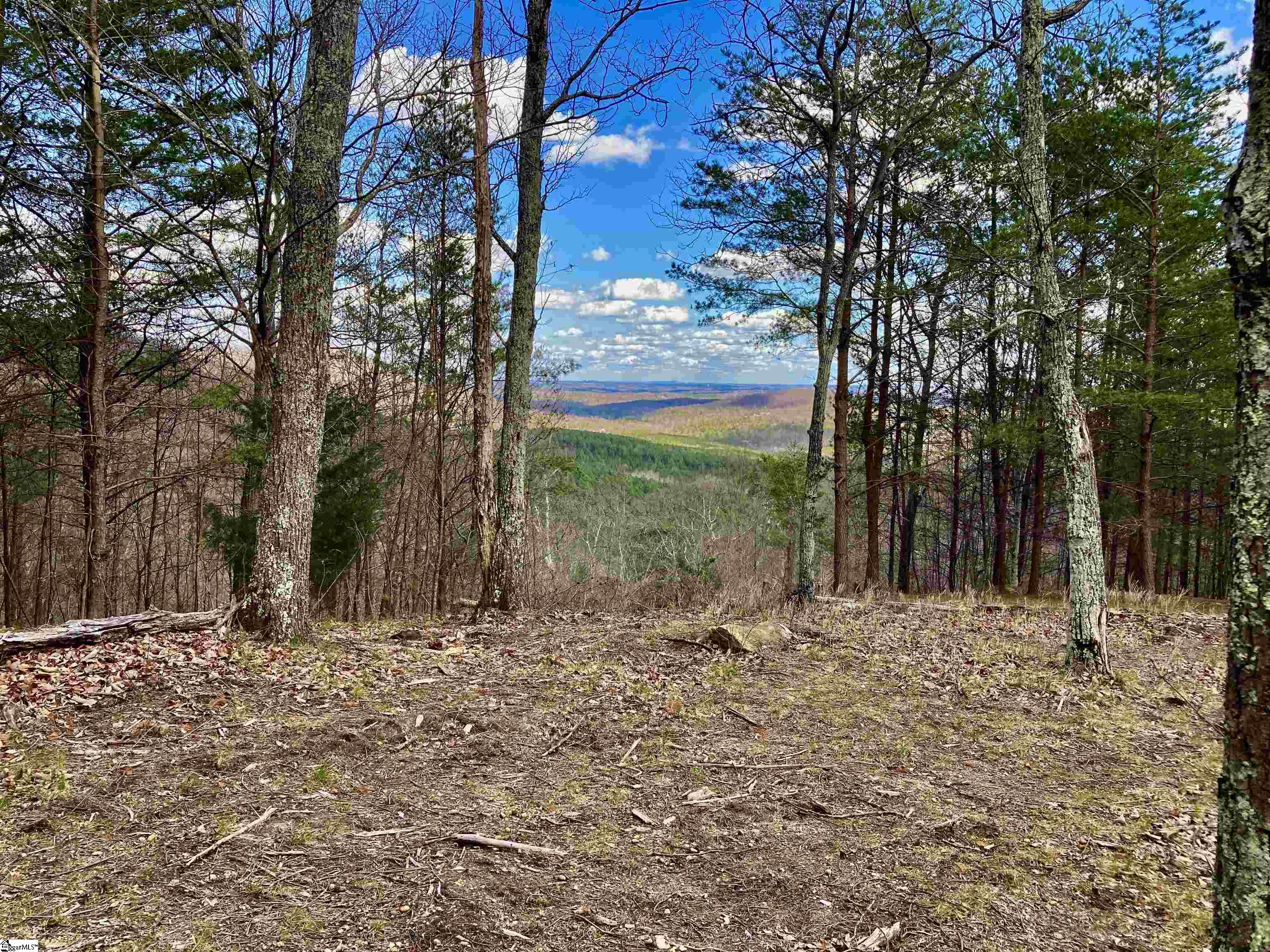 7 Aurora Trail Landrum, SC 29356 - Photo 2 of 10