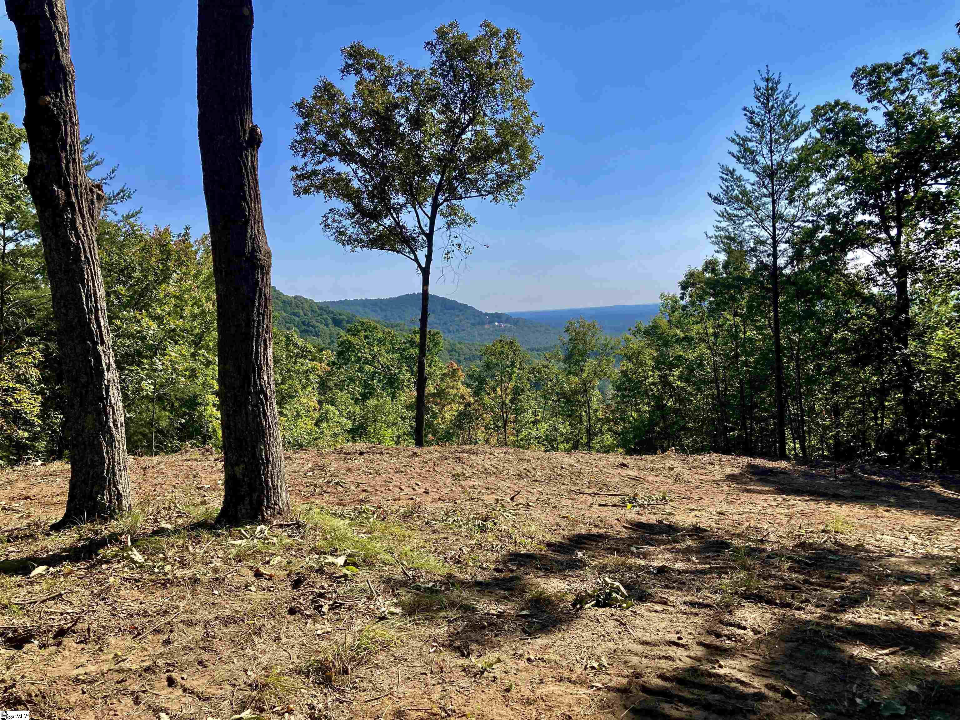 7 Aurora Trail Landrum, SC 29356 - Photo 3 of 10