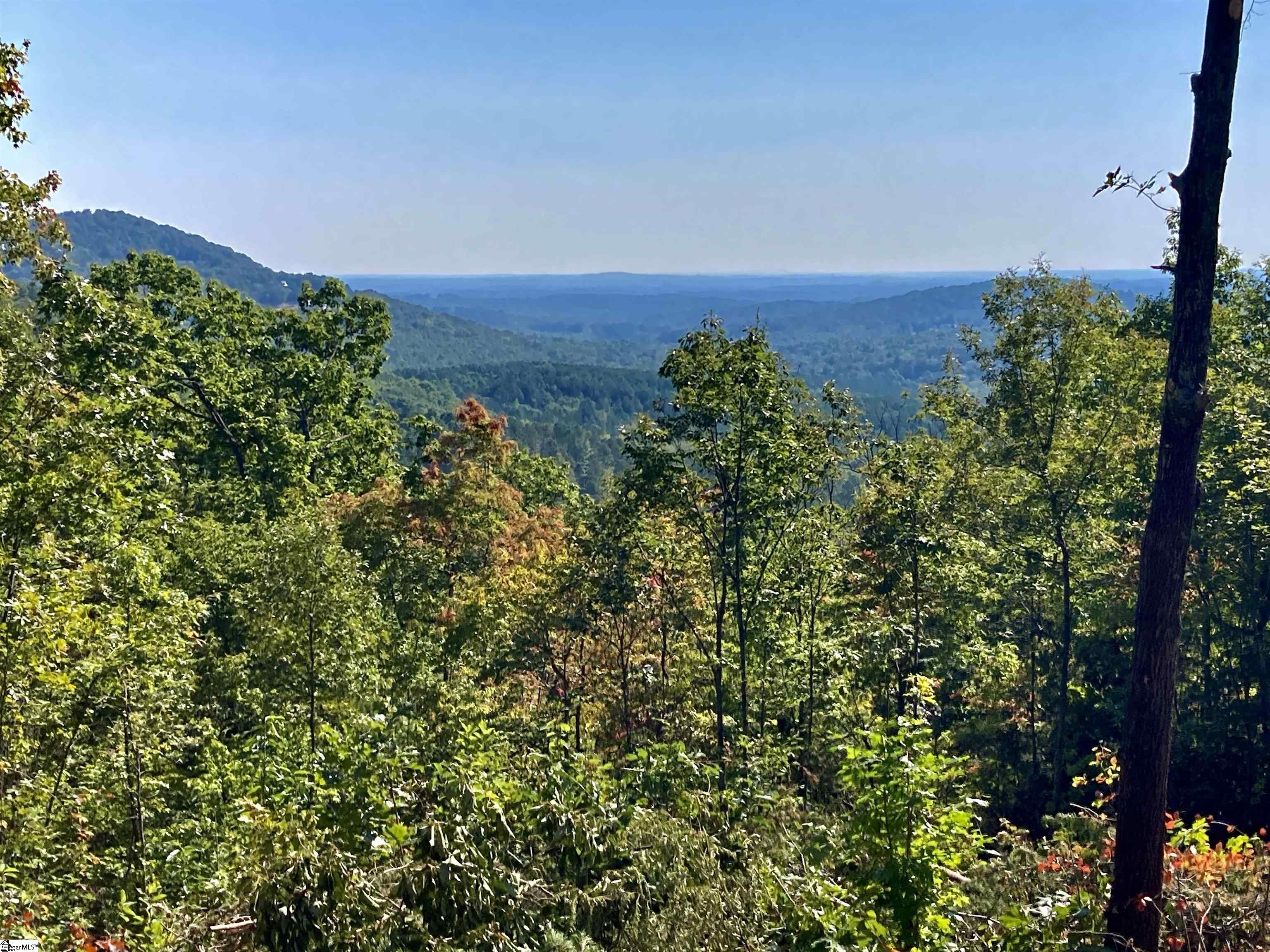 7 Aurora Trail Landrum, SC 29356 - Photo 4 of 10