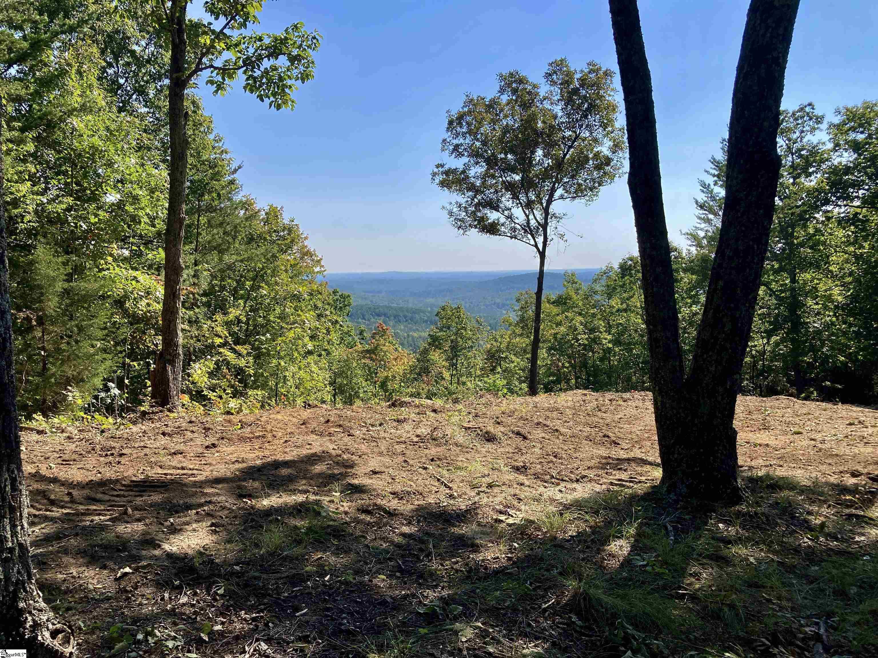 7 Aurora Trail Landrum, SC 29356 - Photo 5 of 10