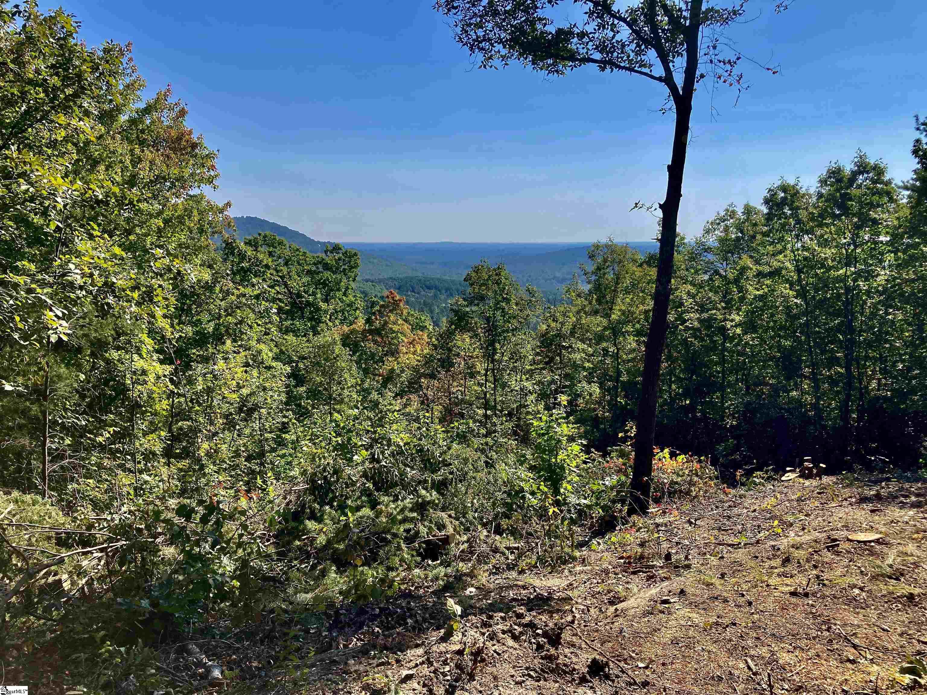 7 Aurora Trail Landrum, SC 29356 - Photo 6 of 10